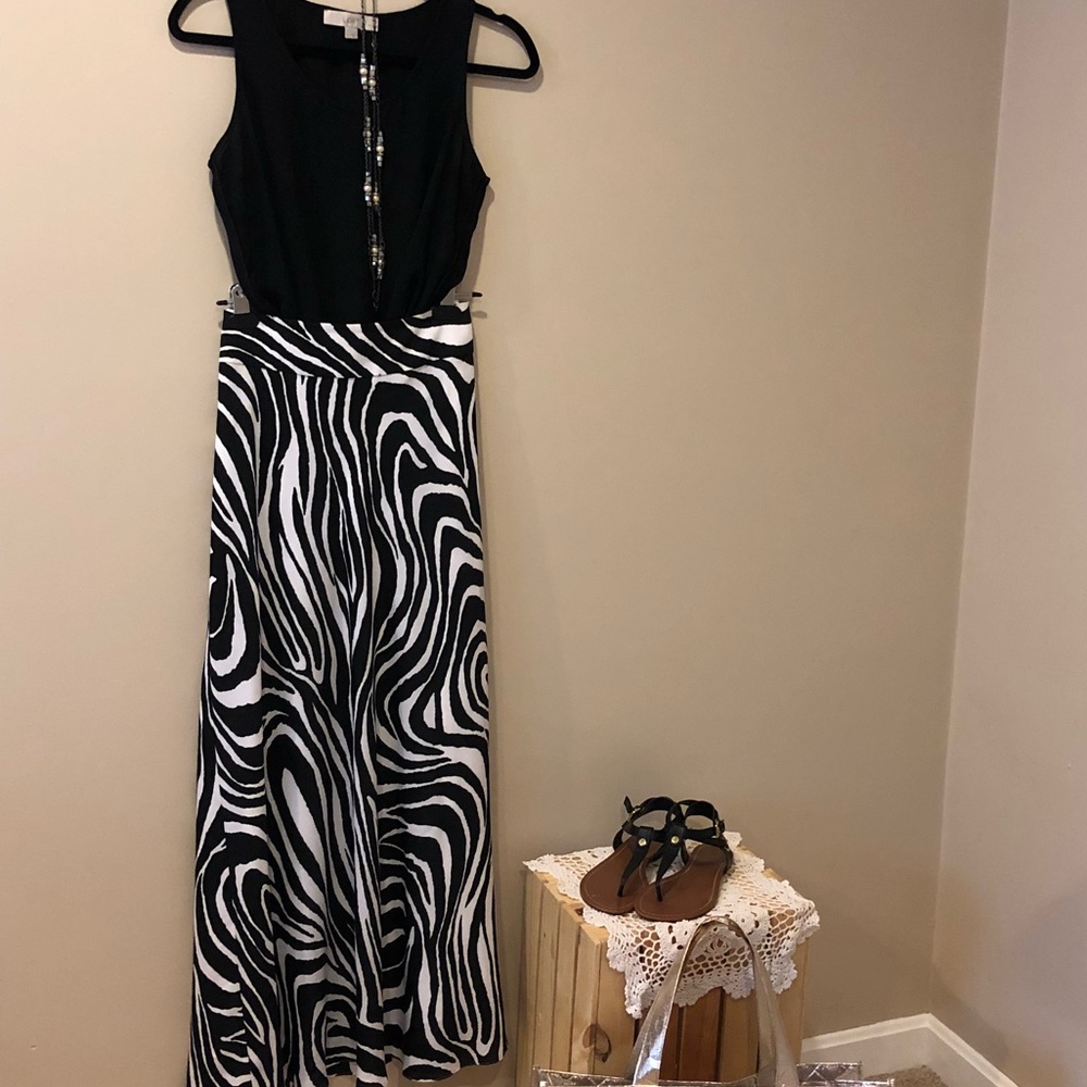 Banana Republic Zebra Print Skirt
